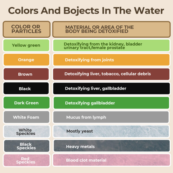 MSFOOT Upgraded Ionic Foot Bath Detox Machine
